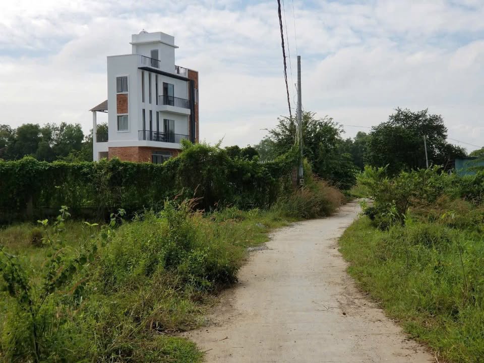 Đất vườn Bình Chánh 2100m² giá 6.4 tỷ - Vị trí đắc địa gần cao tốc!