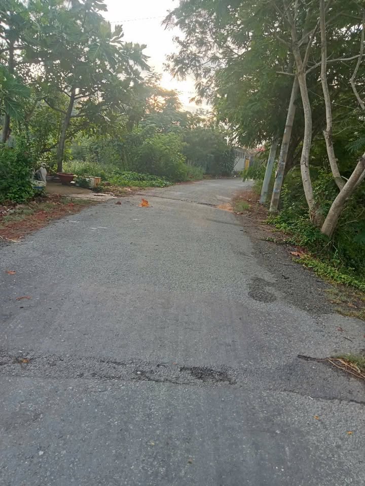 Đất xây biệt thự nhà vườn xã Hưng Long 806m² giá 9.5 tỷ - Đường nhựa xe tải thông thoáng!