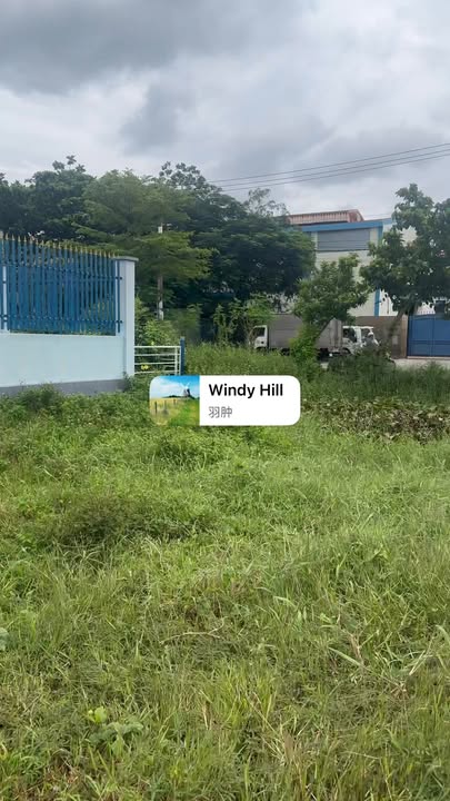 Lô đất 1540m² xã Bình Chánh, giá 14.637 tỷ - Đầu tư lý tưởng!