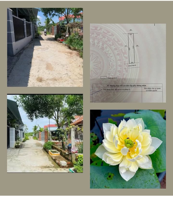 Đất nền Phước Thuận, Tuy Phước 140m² giá 900 triệu - Vị trí đẹp, giao thông thuận tiện!