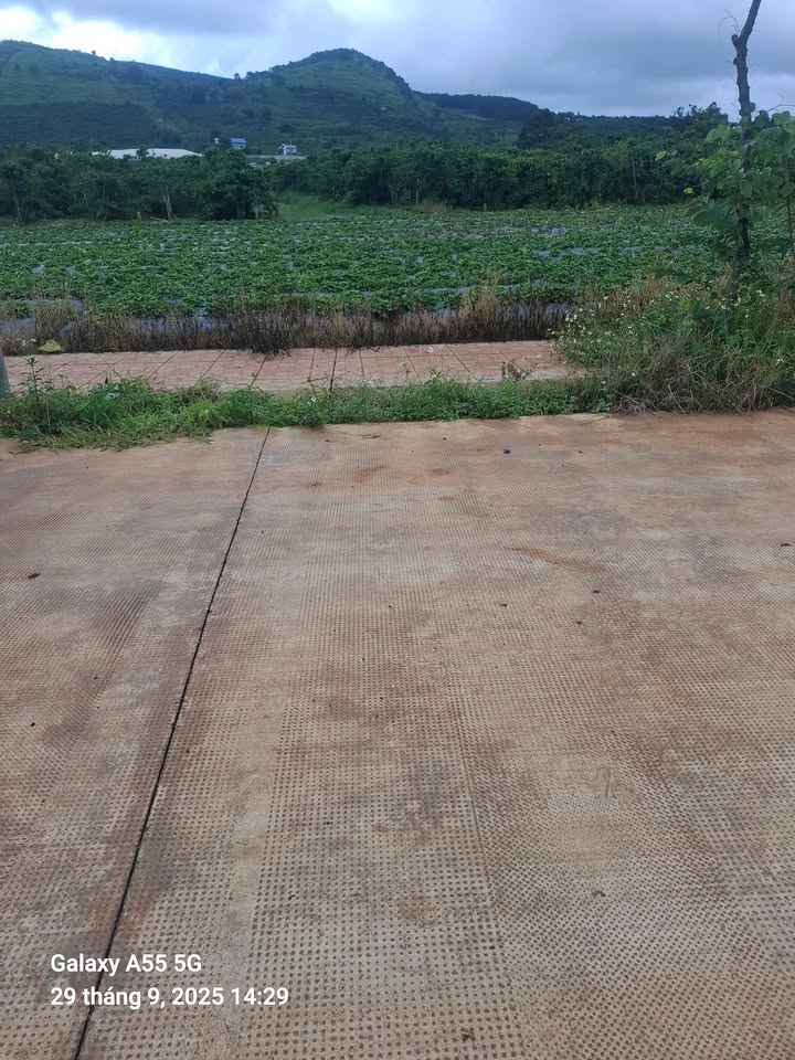 Đất thổ cư 160m² tại thôn An Ninh, Lâm Đồng - Giá chỉ 1.09 tỷ, đầu tư sinh lời!