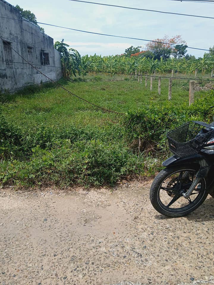 Đất thổ cư mặt tiền kênh thoát lũ Phường Bình Thuận 126m² giá 1.25 tỷ - Cơ hội đầu tư hấp dẫn!