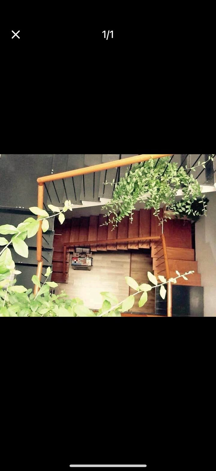 Nhà phố 3 tầng đường 2/9 Đà Nẵng 121m² giá 6 tỷ - Không gian sống lý tưởng!