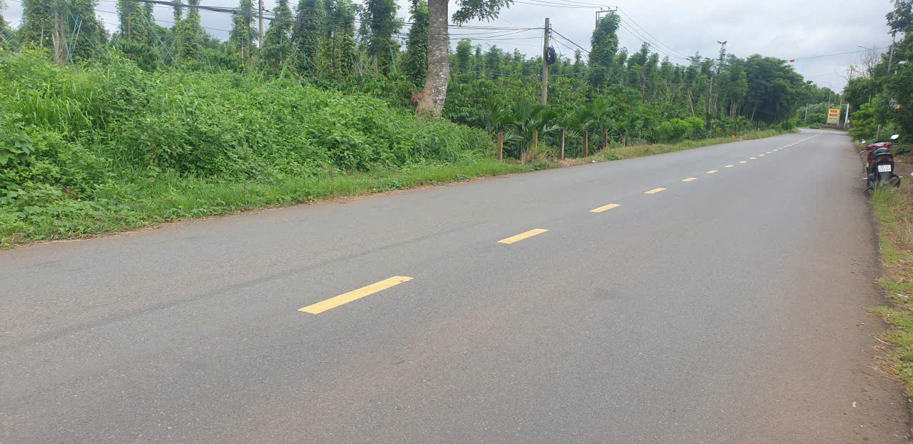 Đất mặt tiền đường Bình Giã, Châu Đức 1415m² giá 6.5 tỷ - Tiềm năng đầu tư lớn!