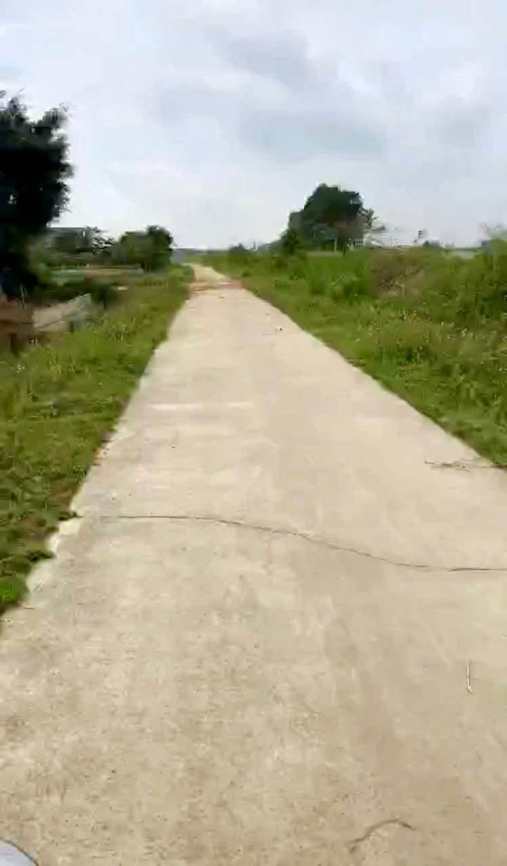 Lô đất Thái Hòa, Triệu Sơn 196m² giá 800 triệu - Cơ hội đầu tư hấp dẫn!