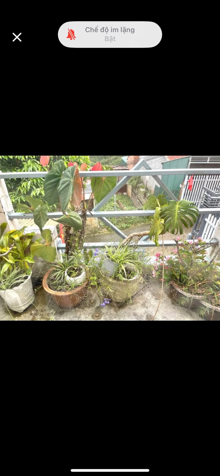 Nhà cho thuê Đà Lạt 1 trệt 1 lầu, 4 phòng ngủ - Giá chỉ 10 triệu/tháng!