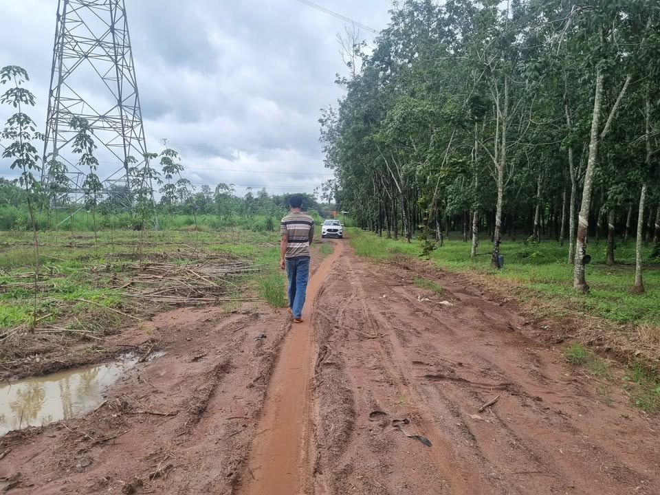 Đất cho thuê tại An Khương - Hớn Quản, Bình Phước - Hợp đồng 5 năm