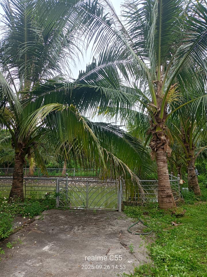 Đất chuyển đổi tại thôn 1, xã Quảng Bị, 2682m² giá từ 3.3 tỷ - Cơ hội đầu tư tuyệt vời!