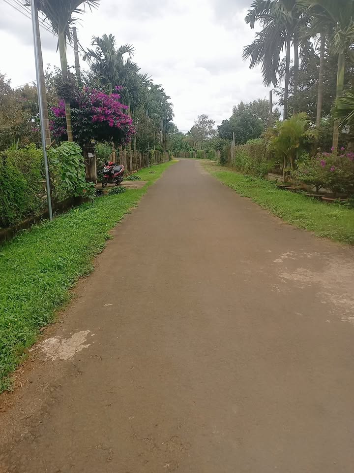 Đất thổ cư 5100m² tại Ea Ning, Cư Kuin giá 3.8 tỷ - Cơ hội đầu tư hấp dẫn!