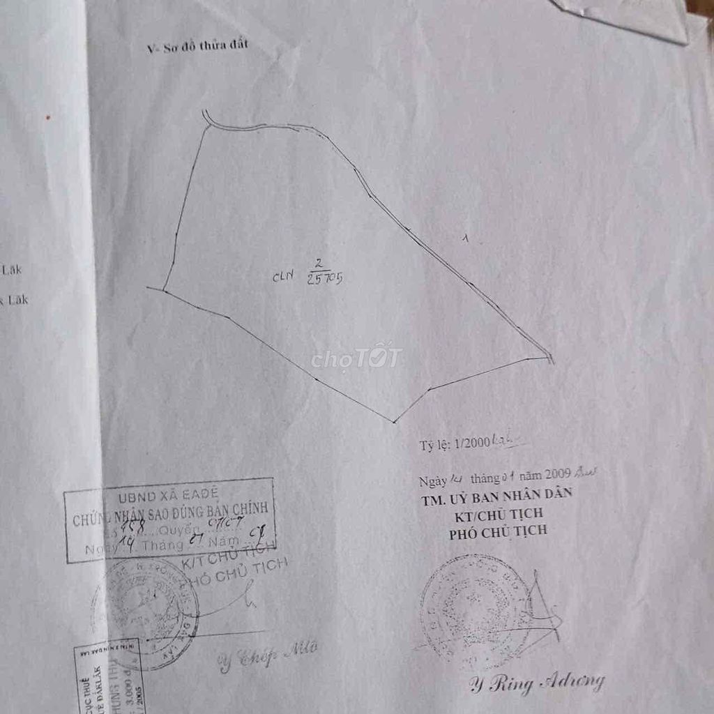 Đất rẫy sầu riêng 60.000m² tại Đắk Lắk giá 26 tỷ - Đầu tư sinh lời hấp dẫn!