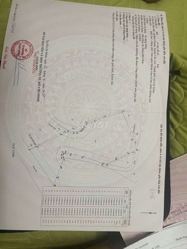 Bán 8.007m² đất trồng cây hàng năm tại Cần Giờ - Giá 10 tỷ thương lượng