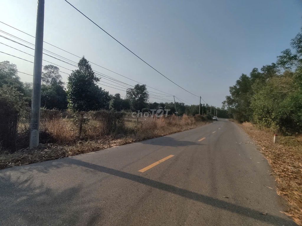 Đất nền An Ninh, Đức Hòa 1600m² giá 17,5 tỷ - Cơ hội đầu tư tuyệt vời!