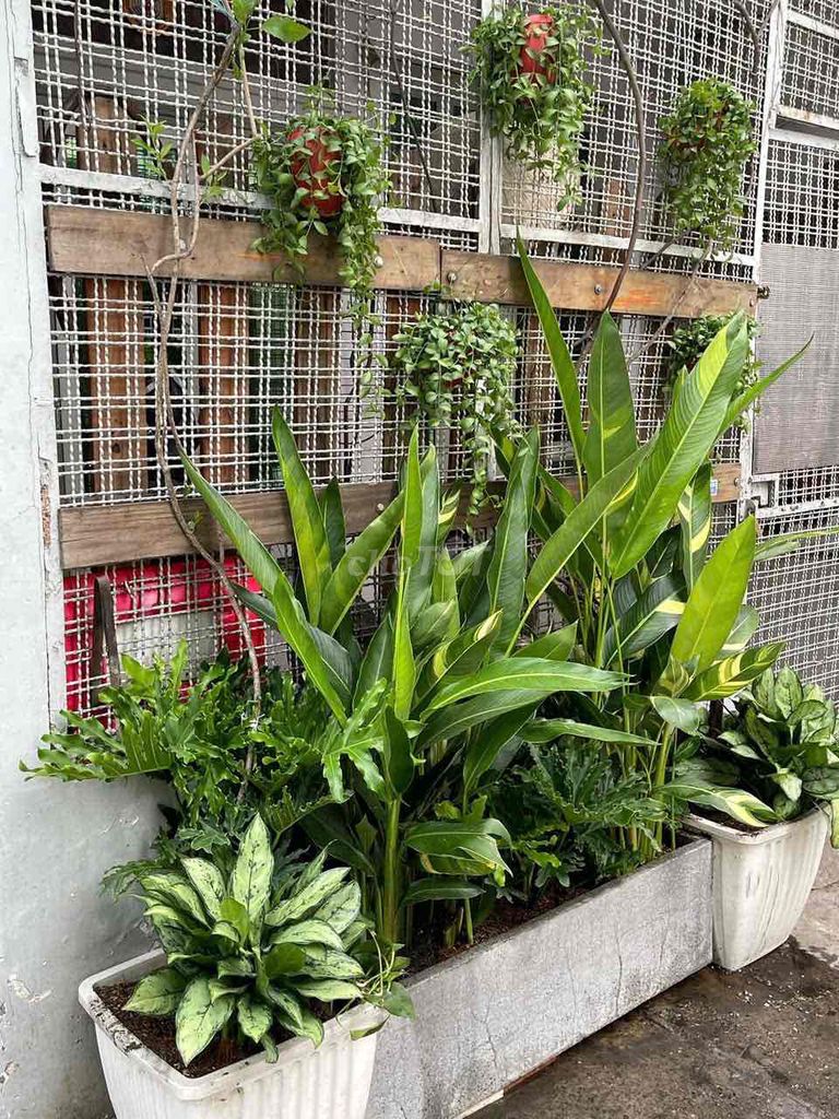 Nhà hẻm Nguyễn Cảnh Chân, Quận 1, 36.6m² giá 6 tỷ - Vị trí đắc địa ngay trung tâm!