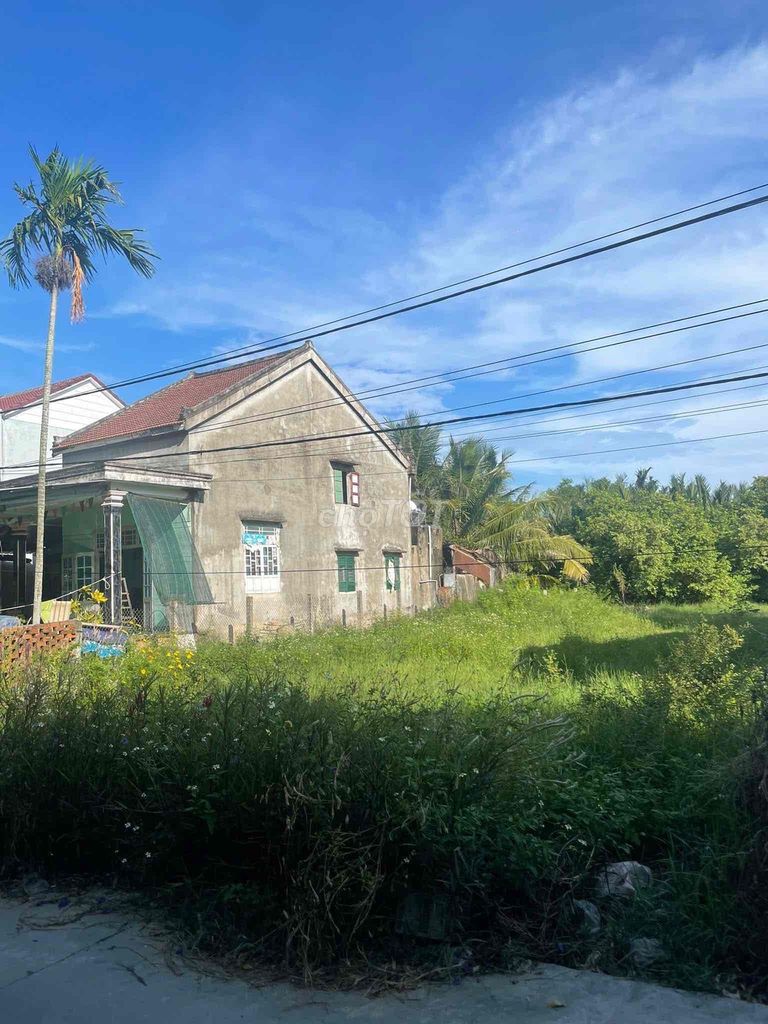 Đất nền Hội An 565m² giá 8.5 tỷ - Vị trí vàng, thích hợp đầu tư!