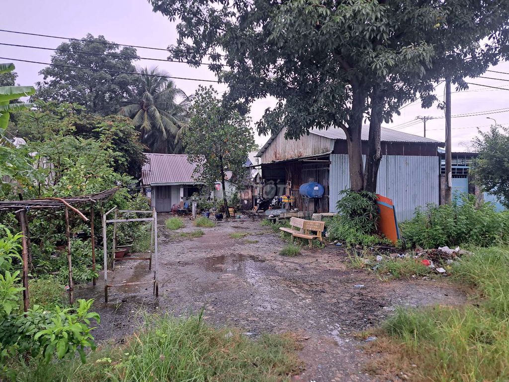 Đất mặt tiền đường Mai Bá Hương, 1267.5m² giá 16 tỷ - Chính chủ bán gấp!