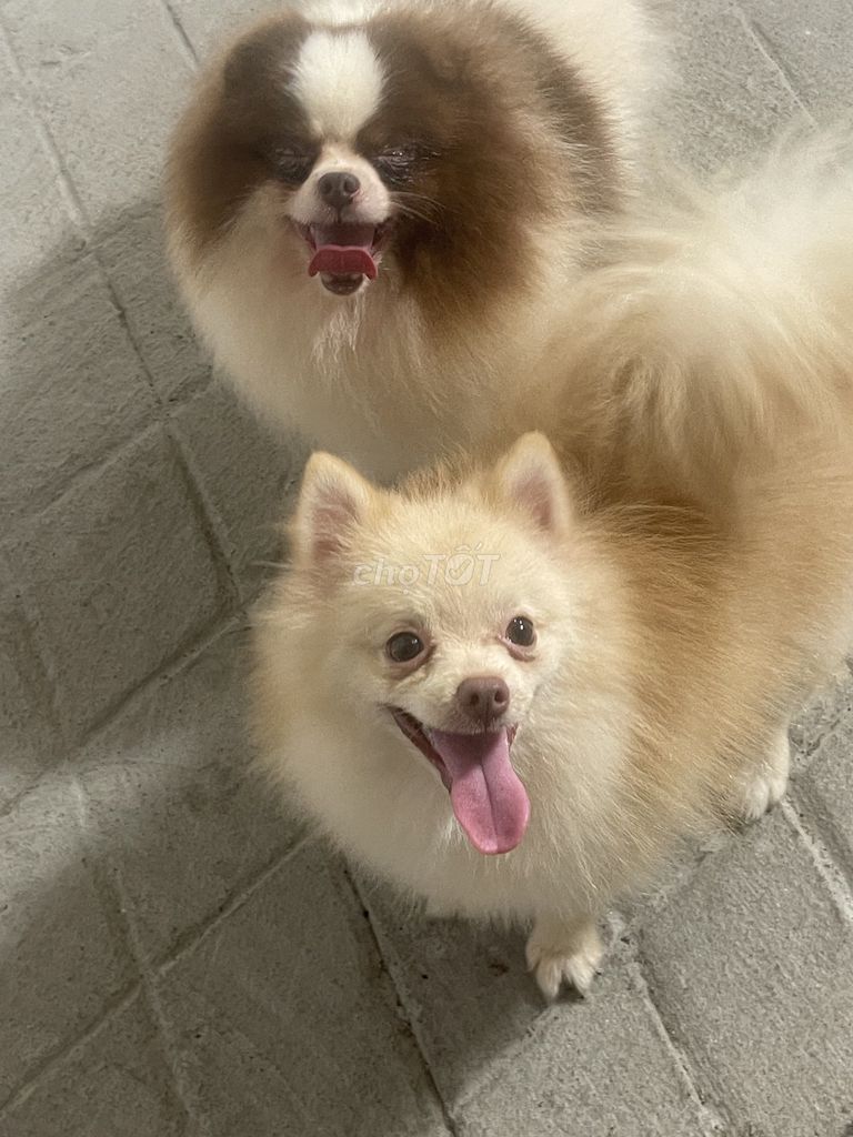 Nhà mặt tiền đường Tam Bình, Thủ Đức 70m² - Phù hợp mọi ngành nghề