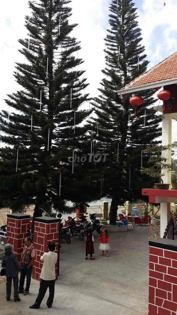 Biệt thự cho thuê Đà Lạt 301m² - Kinh doanh karaoke, vị trí đắc địa!