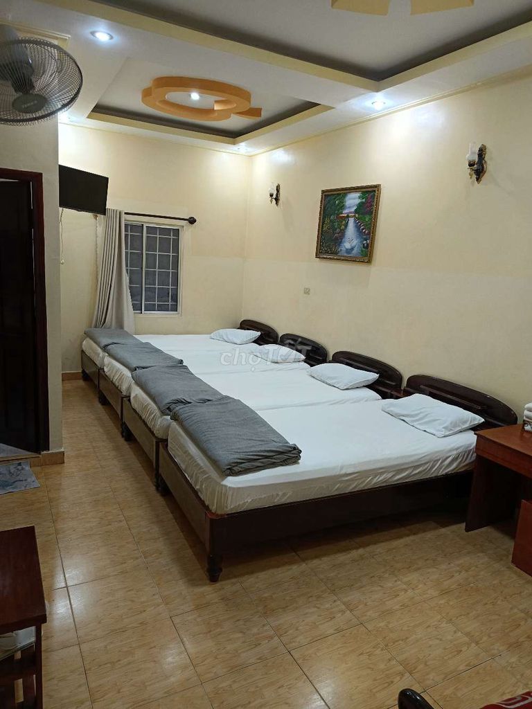 Phòng trọ nữ tập thể tại Khách sạn Lan Đài Đà Lạt 20m² chỉ 1.5 triệu - Không gian thoải mái, an toàn!