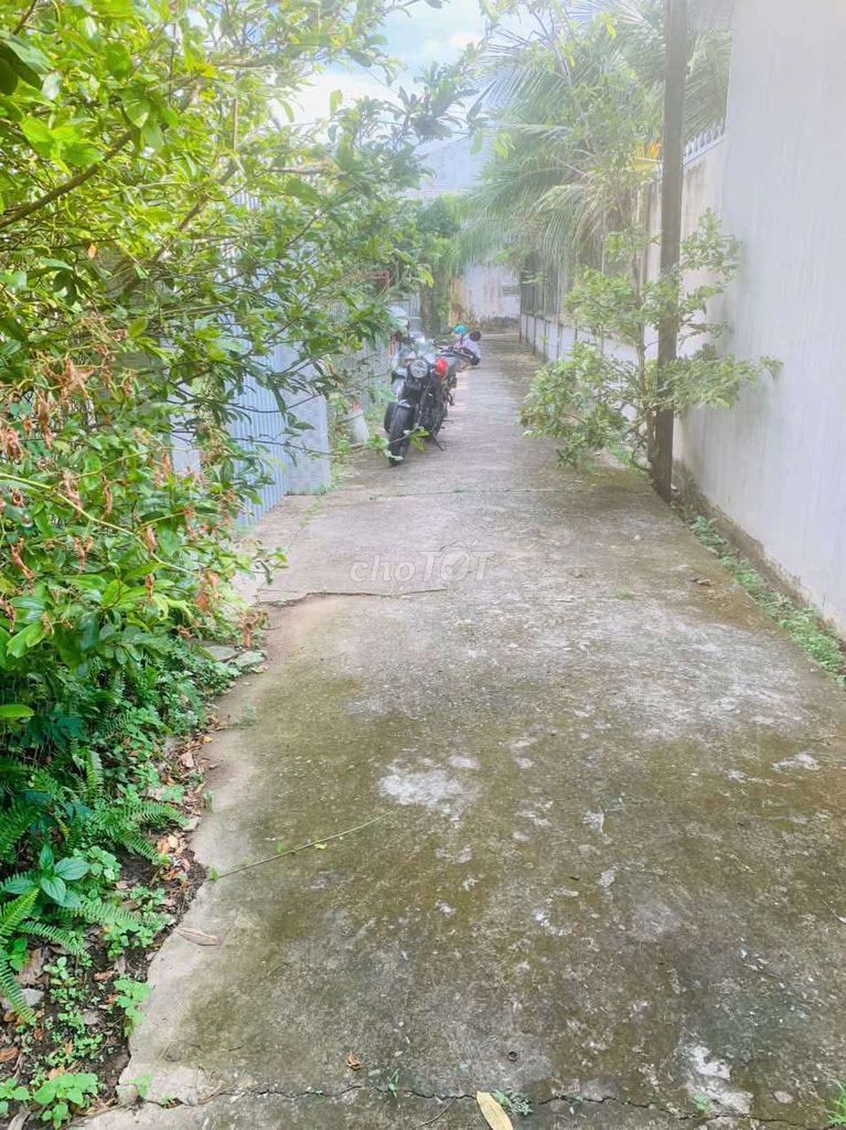 Nhà vườn trung tâm Thị trấn Châu Thành 808m² giá 2.35 tỷ - Đất đẹp giá tốt!