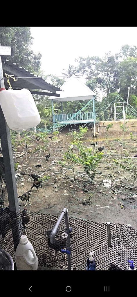 Nhà vườn Tân Trụ 1000m² giá 2.7 tỷ - Không gian sống lý tưởng!