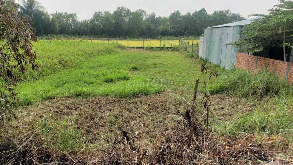 Đất thổ cư 500m² xã An Thạnh, Long An - Cách TPHCM chỉ 30 phút!