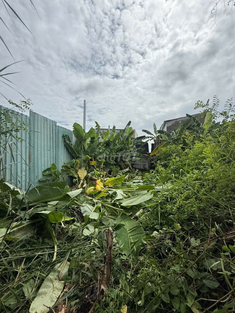 Bán đất thổ cư Quận 7 55.20m² giá 6.25 tỷ - Đầu tư sinh lời tiềm năng!