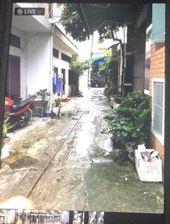 Nhà nguyên căn cho thuê tại Phường 16 Gò Vấp 36m² - An ninh tốt, gần trường học!