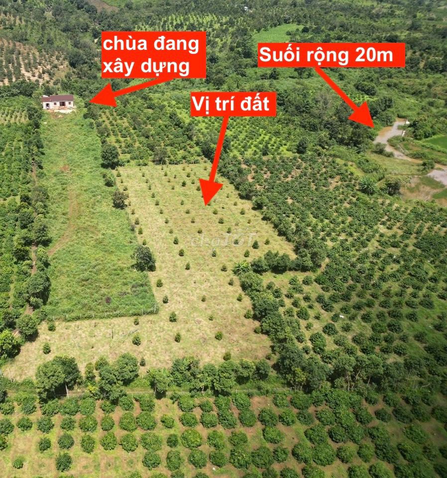 Đất nông nghiệp 4000m² tại Ia Bă, Gia Lai - Phong thủy tốt, giá 1,2 tỷ TL