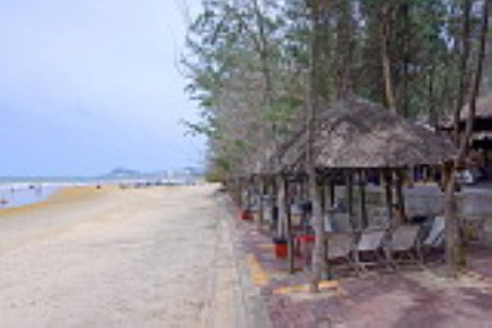 Đất nền 1710m² tại biển Long Cung - Giá chỉ 38 triệu/m² - Đầu tư tiềm năng!