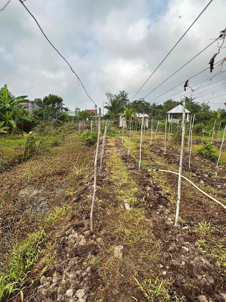 Đất vườn Tân Phước 8658m² giá 2.7 tỷ - Gần sông, vị trí đẹp!