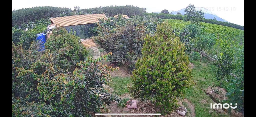 Đất nhà vườn Khánh Vĩnh 7370m² giá 8 tỷ - Năng lượng mặt trời, rượu quý