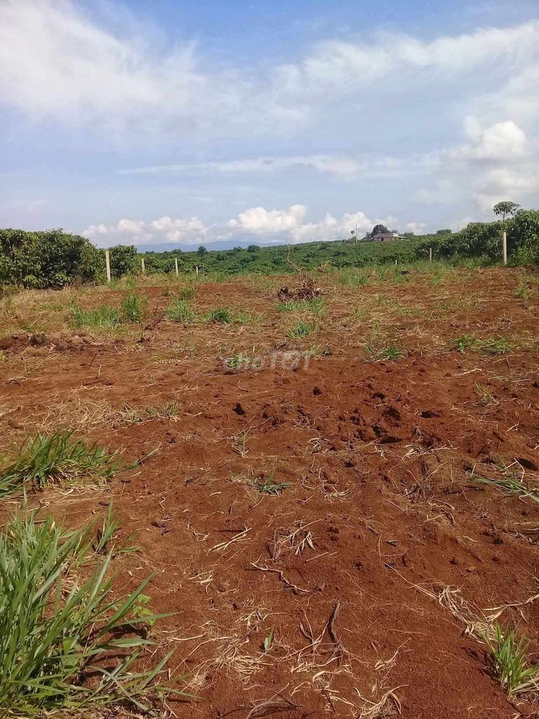 Đất thổ cư 806m² xã Đinh Trang Thượng, Di Linh - Sổ hồng riêng, tiện ích đầy đủ!