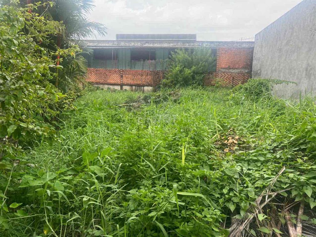 Đất thổ cư đường Tỉnh Lộ 10, Bình Tân 293m² giá 12 tỷ - Cơ hội đầu tư hấp dẫn!