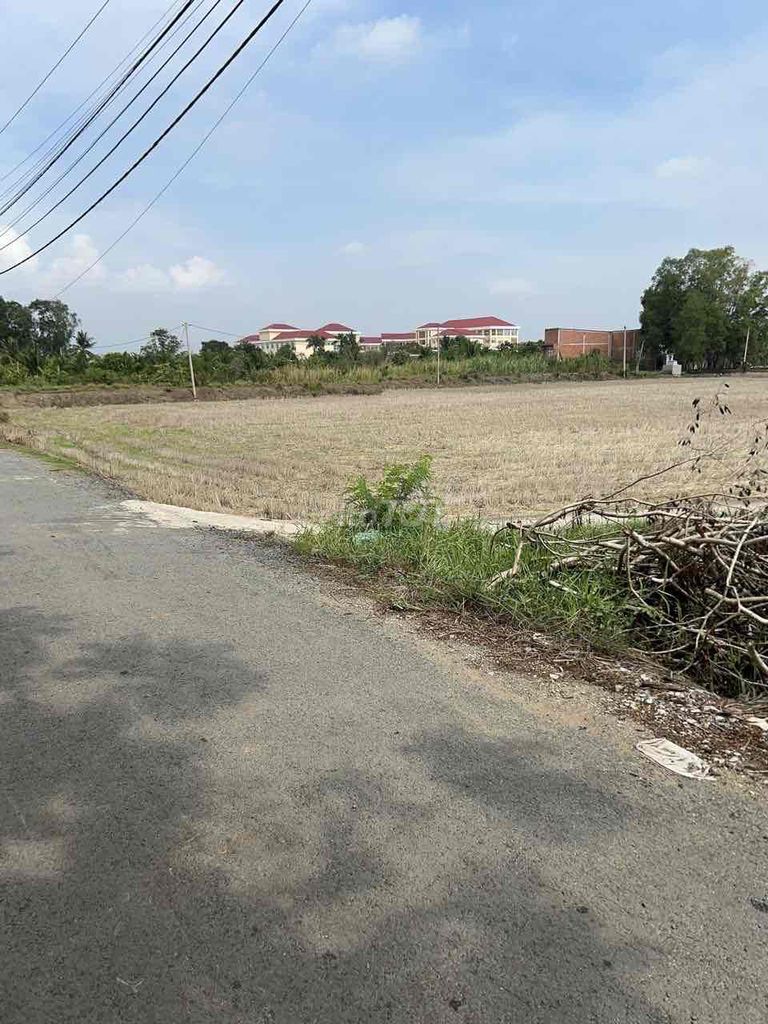 Bán gấp 2 lô đất 1600m² Hưng Long, Bình Chánh - Giá chỉ 8 tỷ!