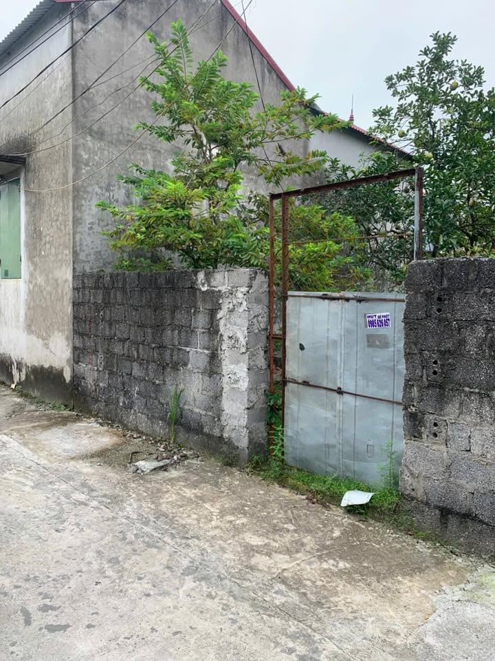 Đất nền Văn Hoàng Phú Xuyên 116m² giá 3.62 tỷ - Đường rộng thông thoáng