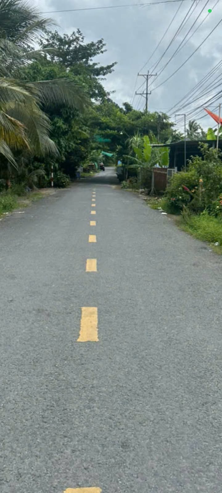 Nhà riêng Lấp Vò 243.1m² - Giá thương lượng hấp dẫn!