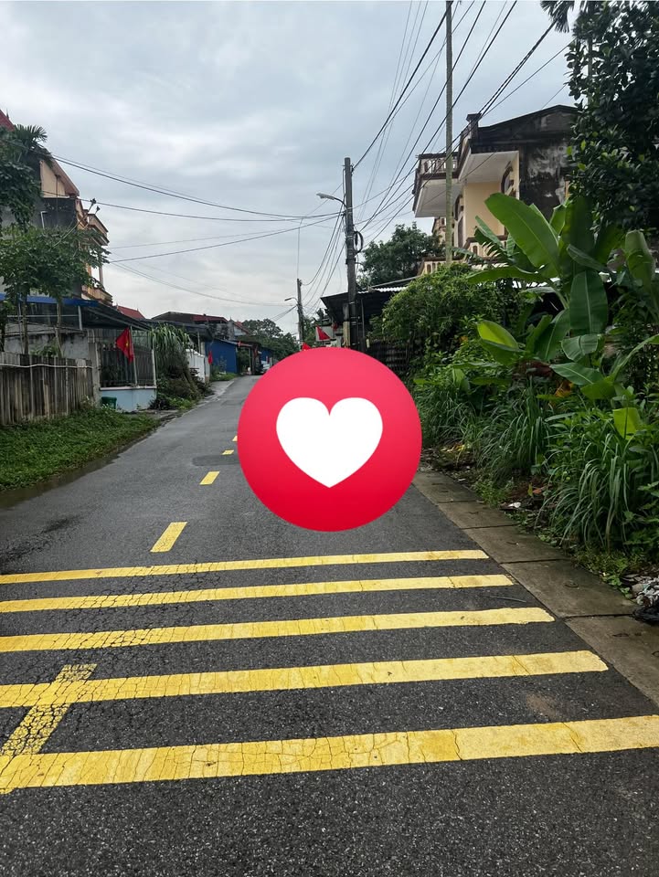 Đất nền Phường Quyết Thắng 100m² giá 2.1 tỷ - Vị trí trung tâm gần trường Nông Lâm!