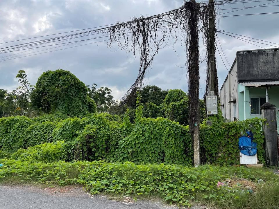 Đất nền Phước Đông, Gò Dầu, Tây Ninh 890m² giá 1.5 tỷ - Đầu tư sinh lời ngay!