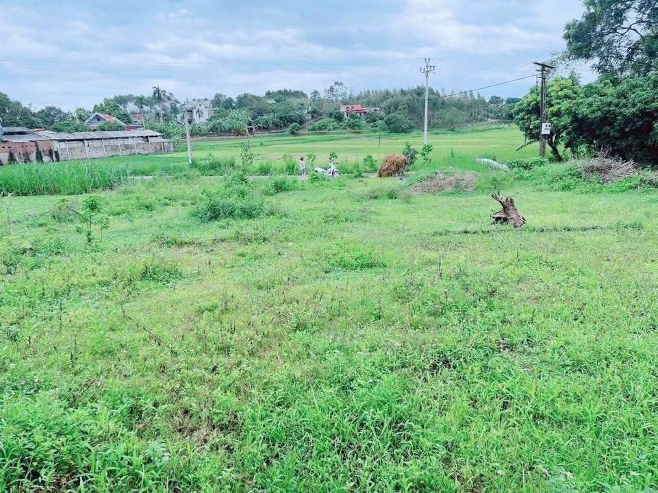 Đất nền Tân Thanh Lạng Giang 190m² giá 500 triệu - Mặt tiền 10m, đường ô tô tận đất!