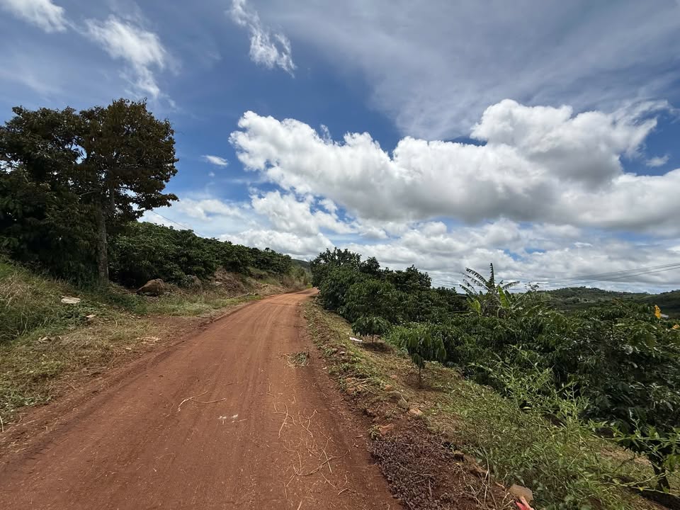 Đất đẹp Chi Lăng Nam Ban Lâm Hà 250m² giá 555 triệu - Đầu tư sinh lời ngay!