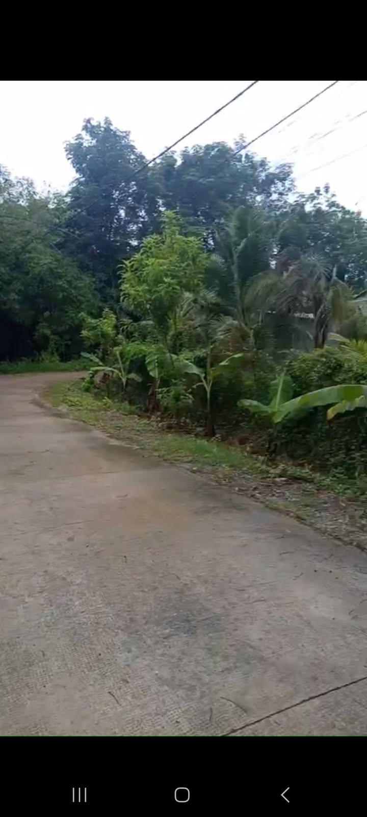 Nhà vườn Phú Hòa Đông, Củ Chi 2376m² giá 6.2 tỷ - Cơ hội đầu tư hấp dẫn!