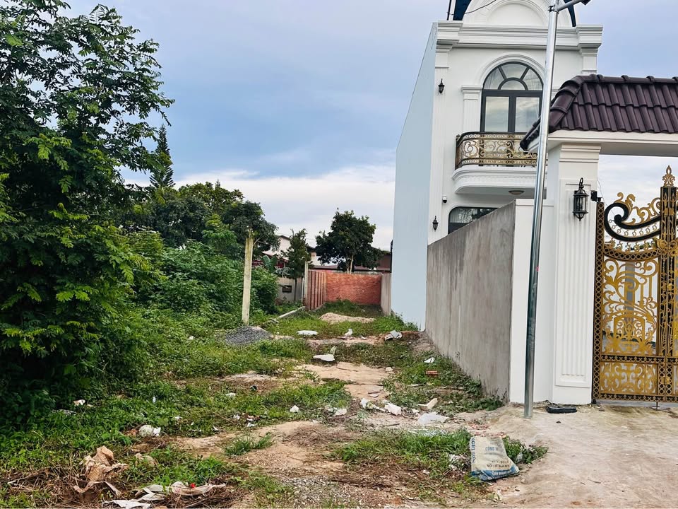 Đất 2 mặt tiền Âu Cơ 250m² giá 1.59 tỷ - Đầu tư sinh lời ngay!