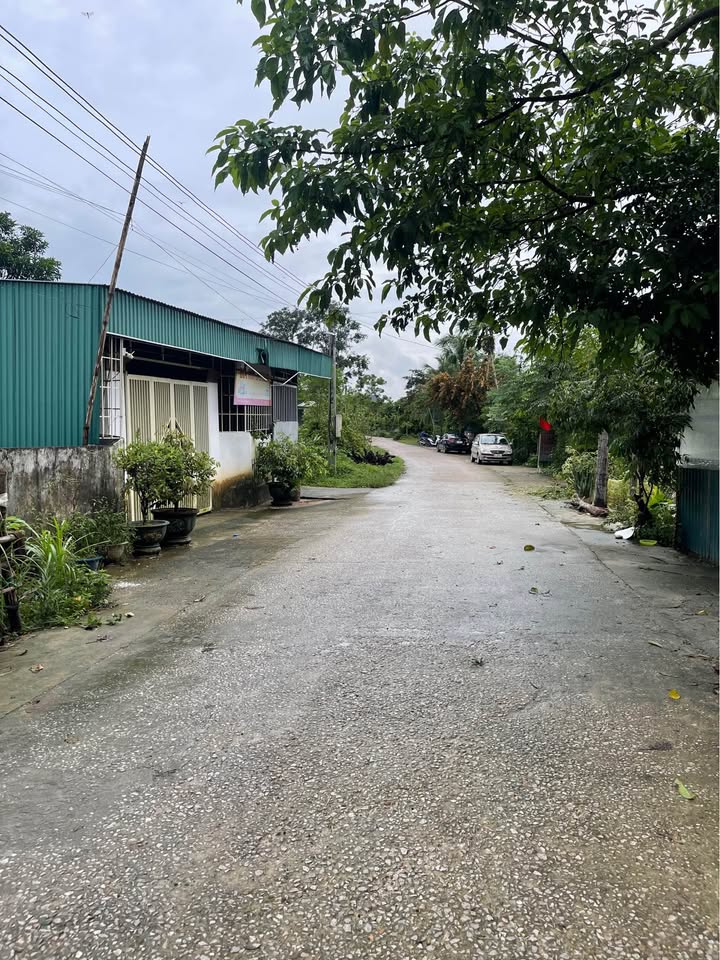 Đất thổ cư Tân Phúc, Sao Vàng, 984m² giá 1 tỷ - Tiềm năng kinh doanh lớn!