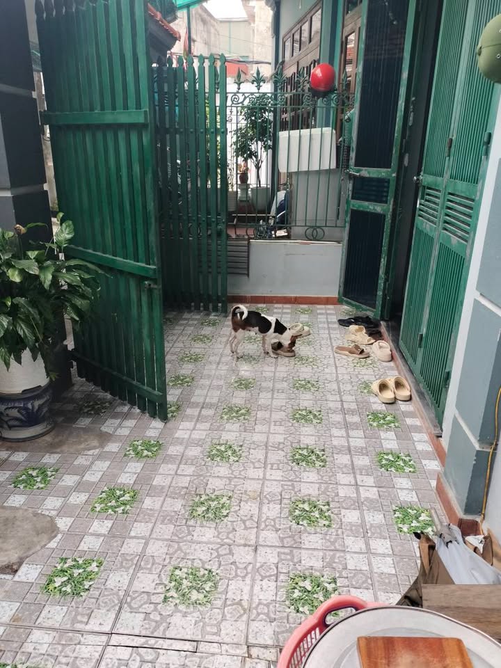 Nhà đẹp lô góc 50m² phường Trần Lãm, TP Thái Bình - Giá chỉ 2 tỷ!