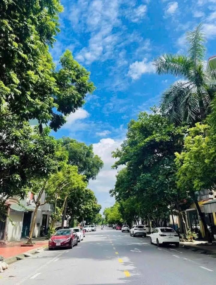 Đất Lương Thế Vinh TP Hải Dương 58.75m² - Mặt tiền rộng, giá 4 tỷ!