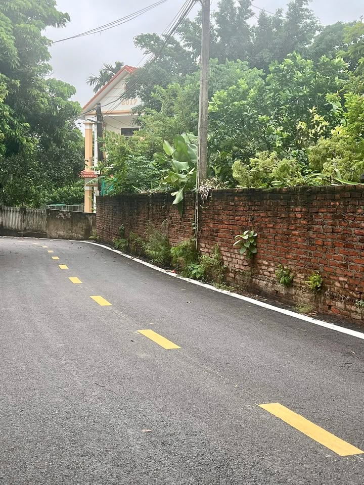 Đất nền đẹp tại Khu 2 Thanh Đình, Việt Trì 133.5m² - Đầu tư lý tưởng!