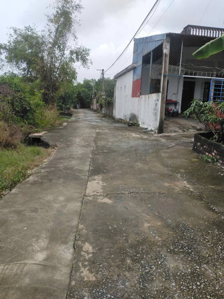 Đất nền Tân Thành Vụ Bản 121m² giá tốt - Cách trường học, chợ chỉ 200m!