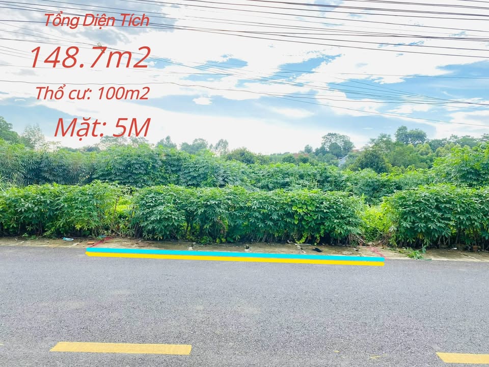 Đất nền Thanh Đình Việt Trì 148m² giá 2 tỷ - Khu dân cư sầm uất!
