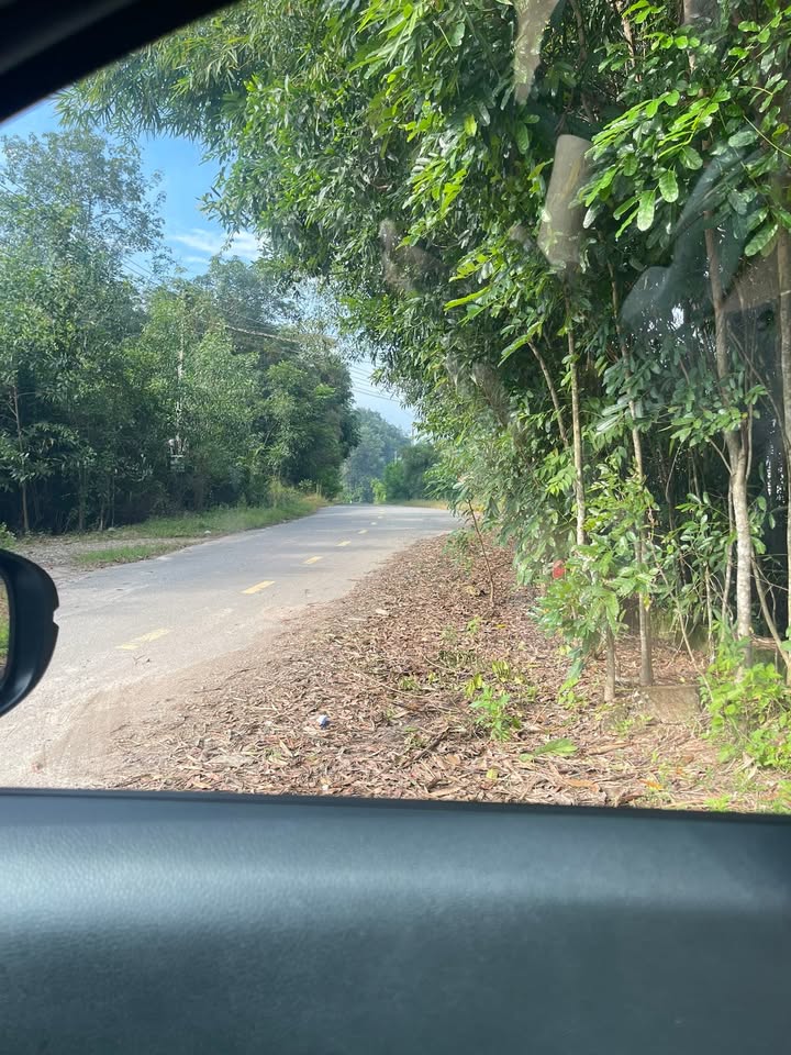 Nhà vườn Bến Cát 800m² giá chỉ 1.3 tỷ - Cơ hội đầu tư tuyệt vời!