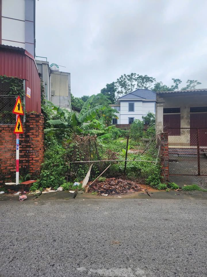 Đất nền chính chủ tại xã Thanh Đình, Việt Trì, Phú Thọ - Diện tích 230m², giá chỉ 1.6 tỷ!